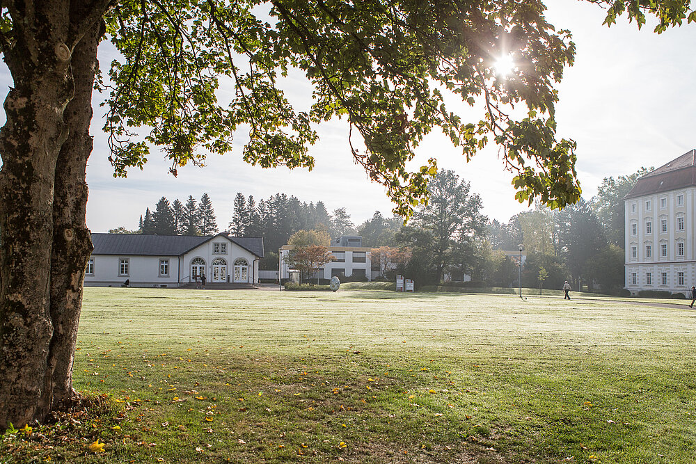 Im Vordergrund sind im Morgenlicht eine Wiese und ein Baumstamm, im Hintergrund ein Teil des Klosters Bad Schussenried und Klinikgebäude zu sehen.